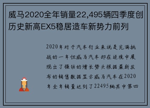 威马2020全年销量22,495辆四季度创历史新高EX5稳居造车新势力前列